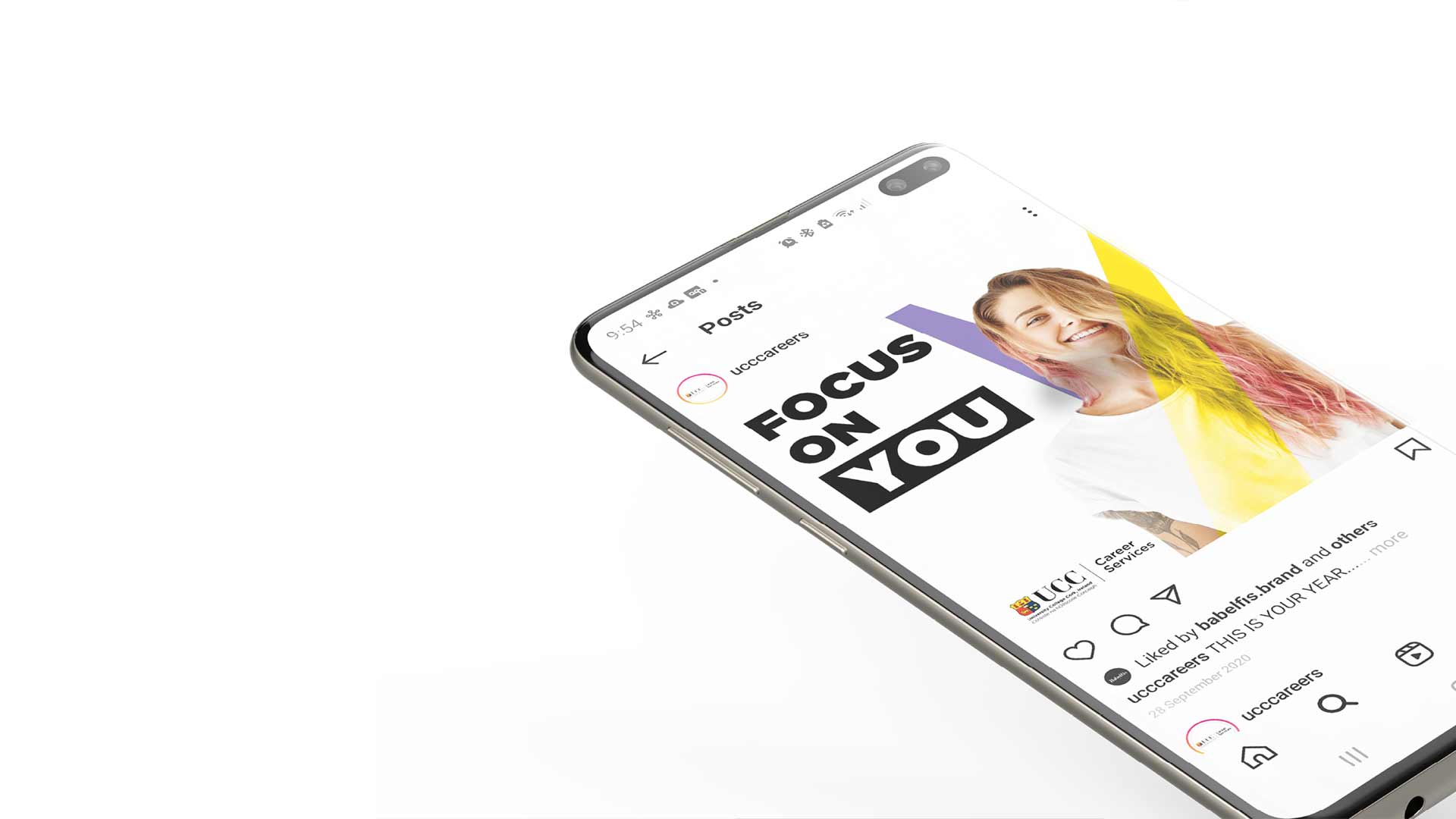 UCC Career Services Babelfis